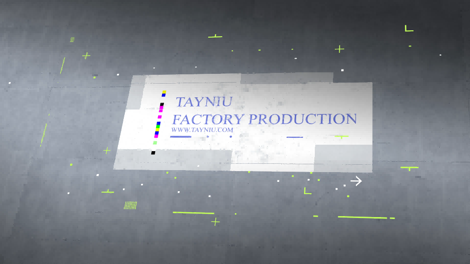 Tayniu Factory Video